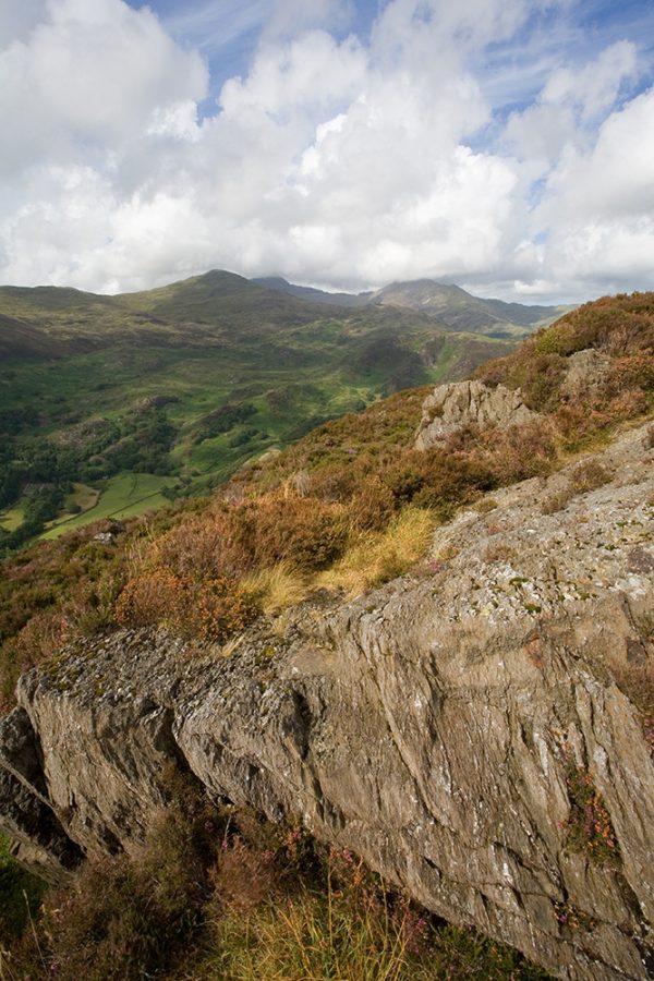 Abergaslyn