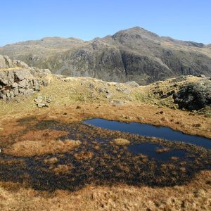 Bowfell from High Gait Crags