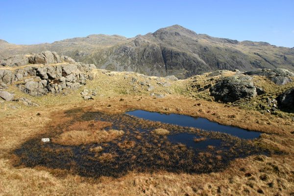 Bowfell from High Gait Crags