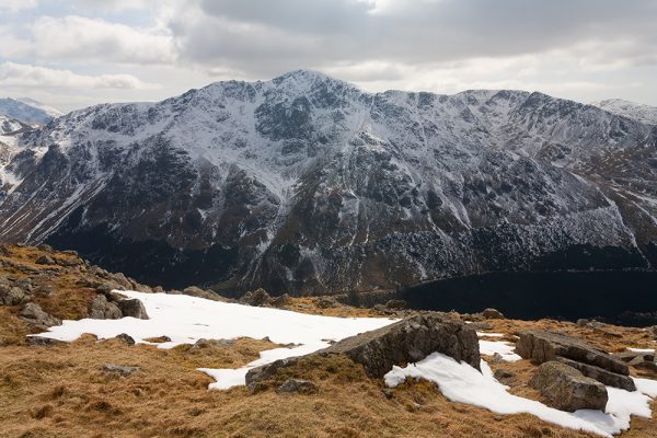 Pillar in Winter