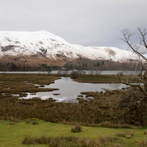 Derwentwater Marshes