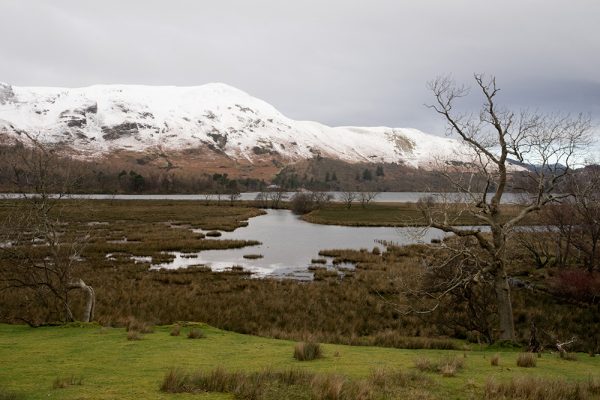 Derwentwater Marshes