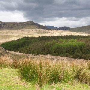 Snowdonia