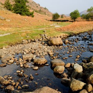 Stream Above Grasmere