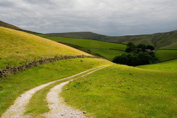 Path to the Farm