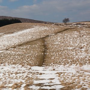 Winter Path