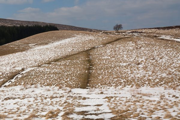 Winter Path