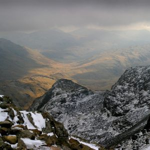 Great Moss Below