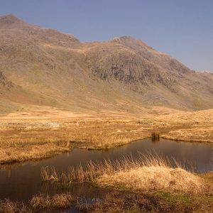 Great Moss Pool