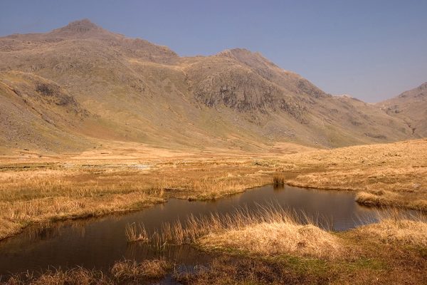 Great Moss Pool