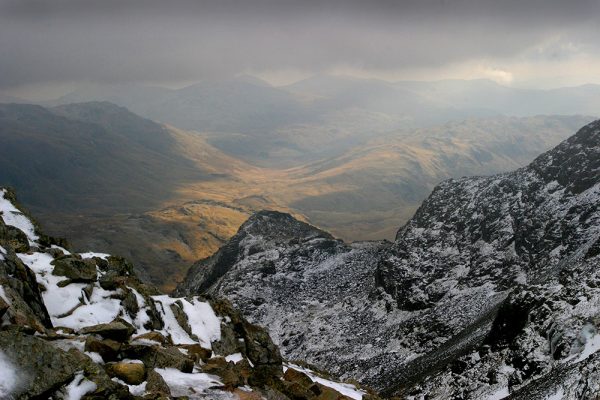 Great Moss Below