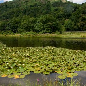 Rydal Water