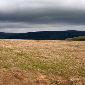 Peak District Light (1)