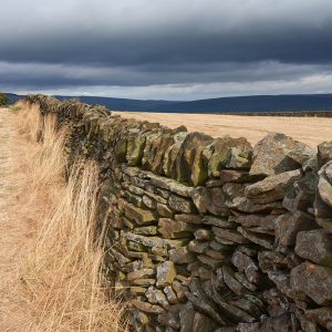 Peak District Wall