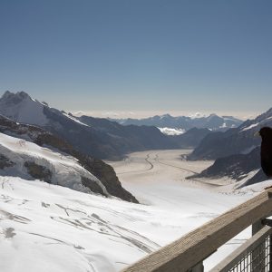 Surveying the Swiss Alps