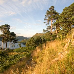 Keldas Near Ullswater