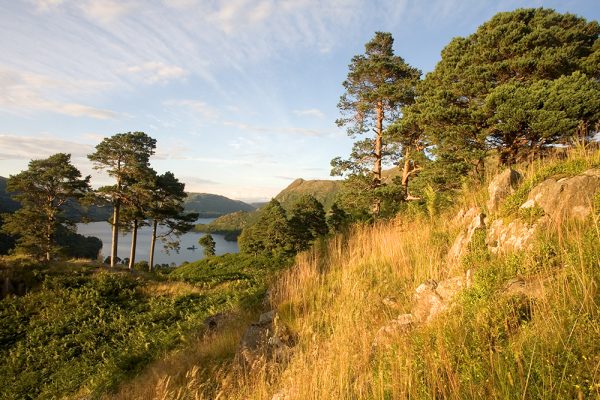 Keldas Near Ullswater