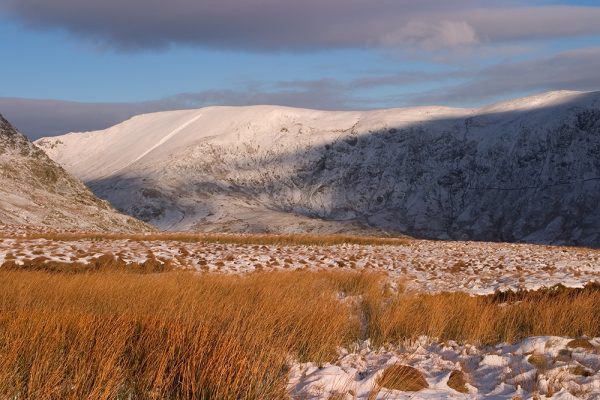 Kentmere Grasses