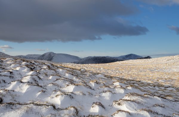 Maiden Moor Beauty