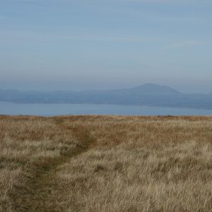 Path on Moelfre