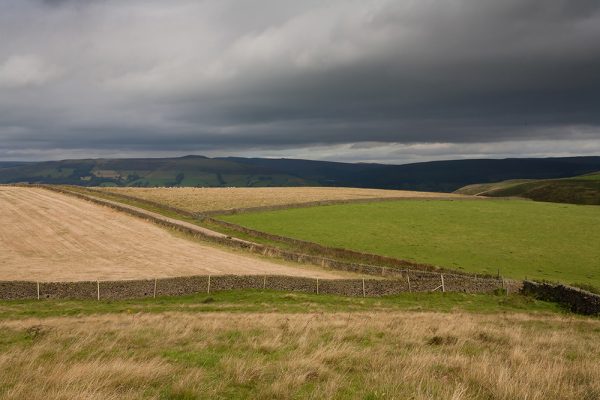 Peak District Skies