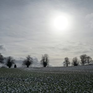 Winter Sun