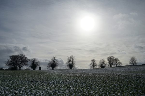Winter Sun