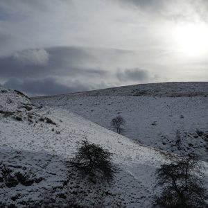 Winter Hills
