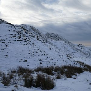 Peaks Snow (2)
