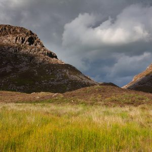 Rhinog Beauty