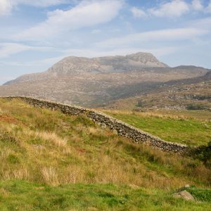 Rhinog Fach