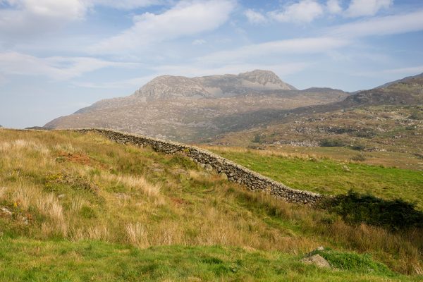 Rhinog Fach