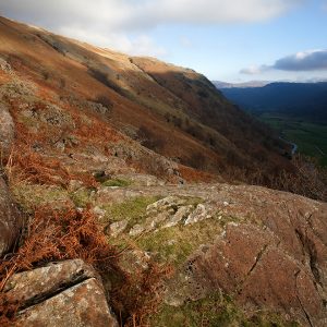 Borrowdale Hillside