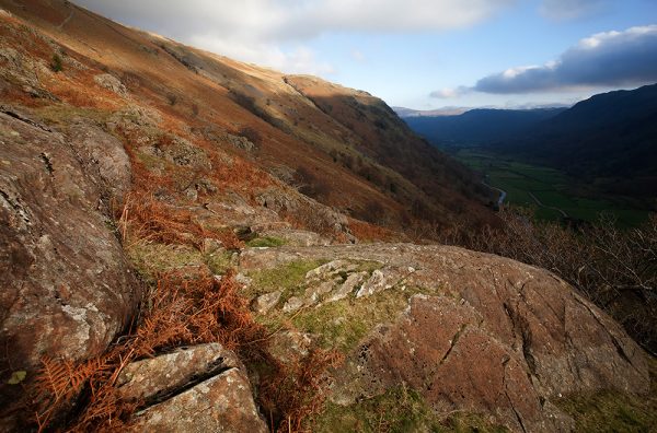 Borrowdale Hillside