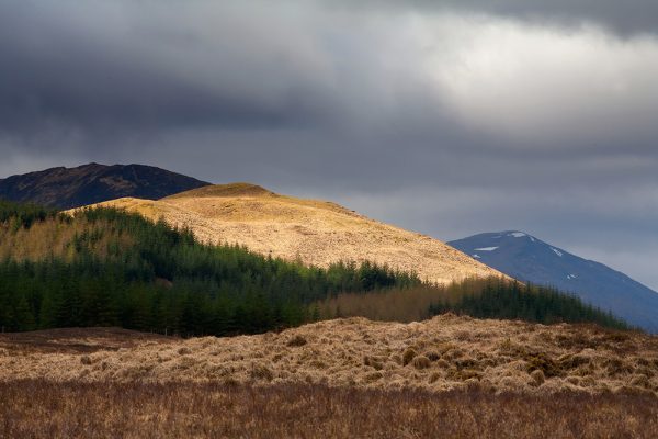 Black Mount Sunset