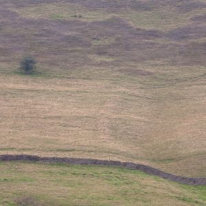 Edale Colours