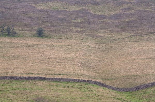 Edale Colours
