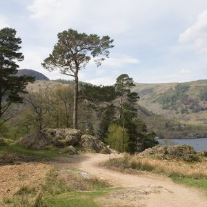 Beside Ullswater