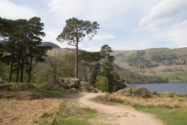 Beside Ullswater