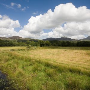 Snowdonia Fields