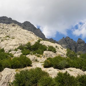 Limestone Walking