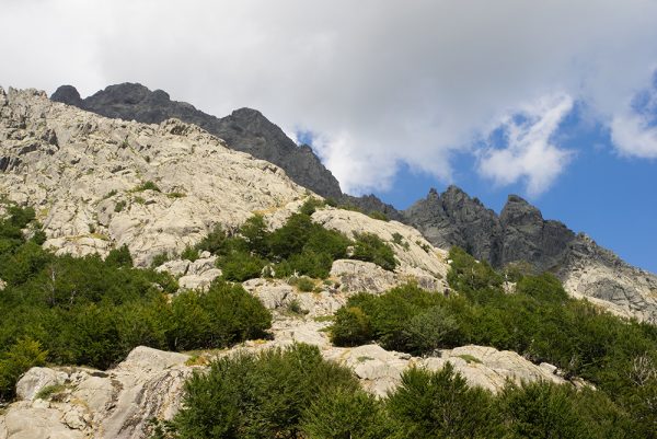 Limestone Walking