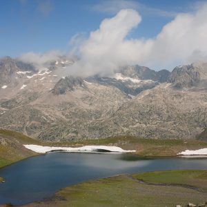 Pyrenees