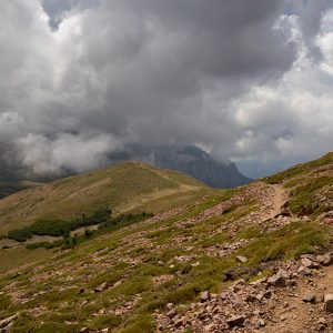 Into the Clouds