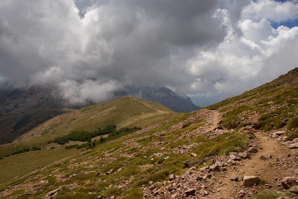 Into the Clouds