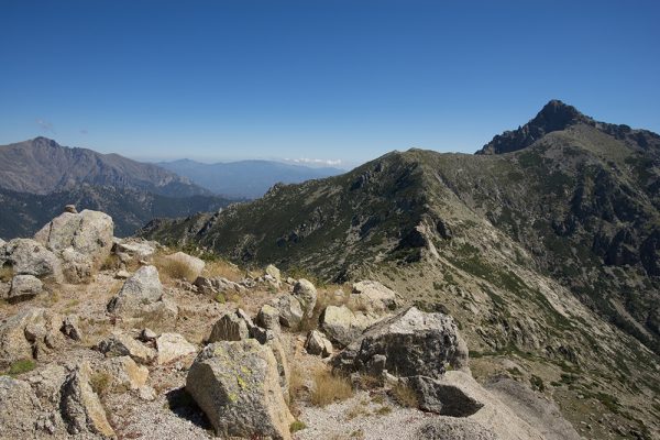 Corsican Heights