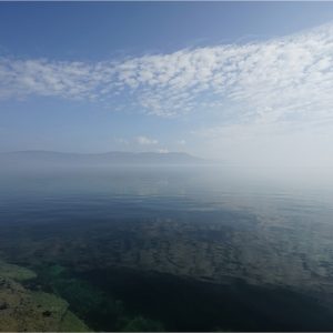 Sea Mist at Mull