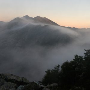 Evening Mist