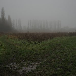 Fog Composition