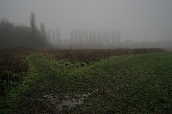 Fog Composition